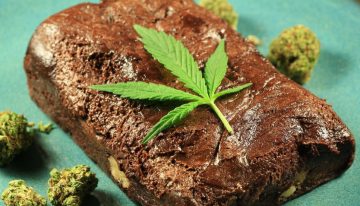 How to Make Weed Brownies in 5 Simple Steps (Classic Recipe)