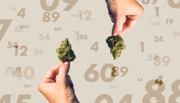 Canada’s Cannabis Legalization By The Numbers