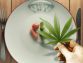 Cannabis and Eating Disorders: Way to Recovery or Risky Business?