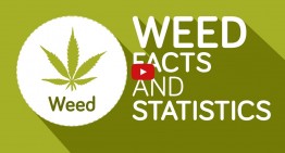 Weed Facts and Statistics