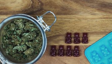 Making Your Own Cannabis Gummies at Home
