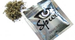 What Are Synthetic Cannabinoids, And Why Are They Killing People Right Now?