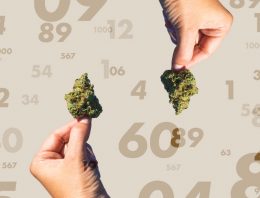 Canada’s Cannabis Legalization By The Numbers