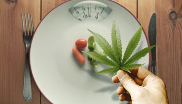 Cannabis and Eating Disorders: Way to Recovery or Risky Business?