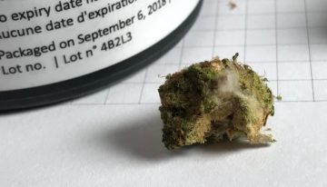 Ontario cannabis grower recalling product after reports of mold